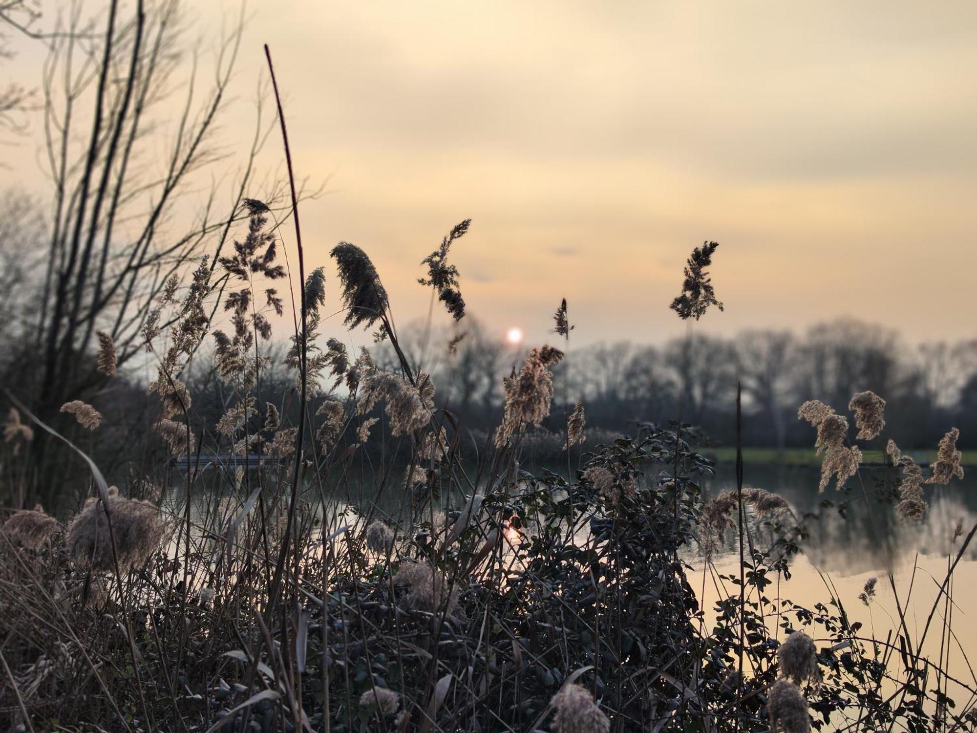 Domaine De La Roseliere • Nature • Brenne Rosnay  Екстер'єр фото