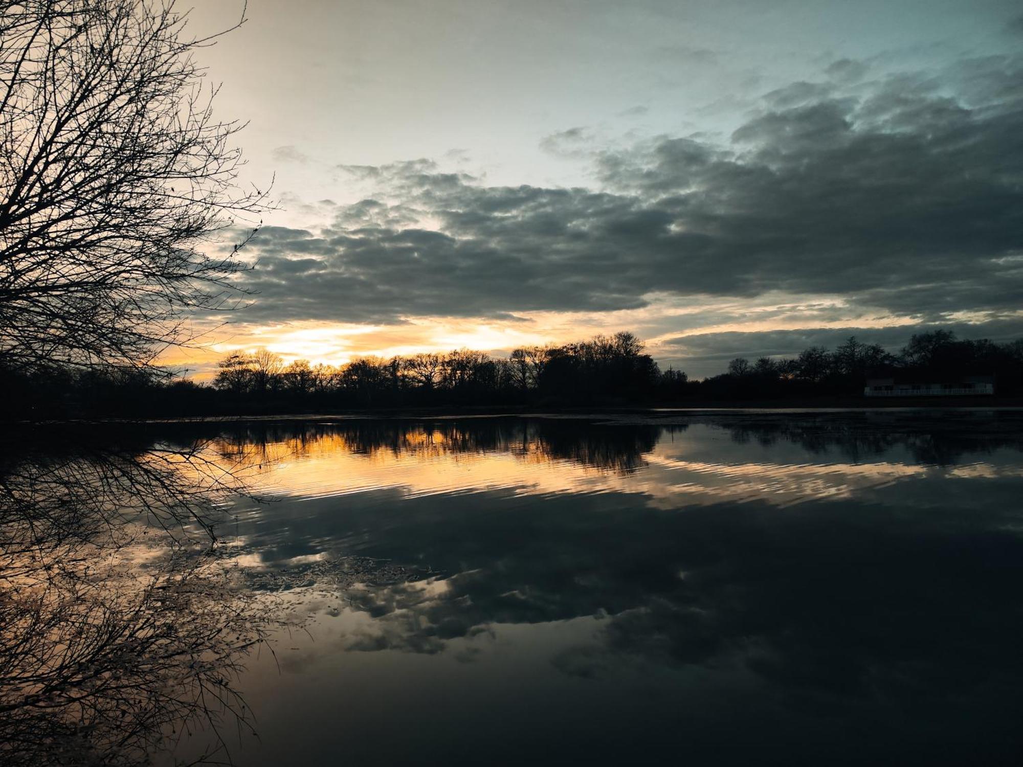 Domaine De La Roseliere • Nature • Brenne Rosnay  Екстер'єр фото